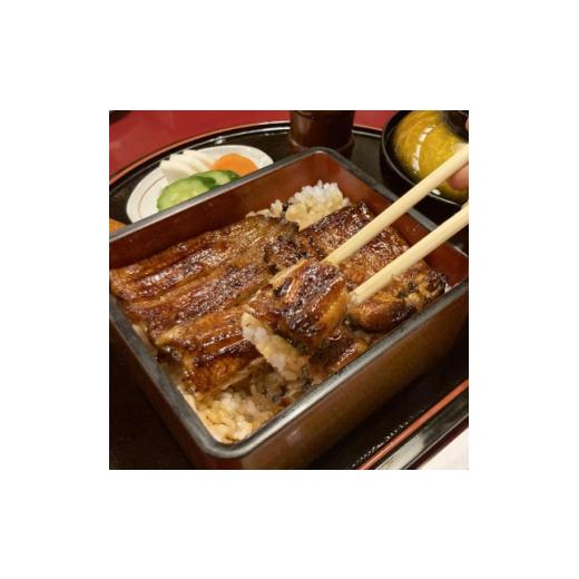 ふるさと納税 埼玉県 ふじみ野市 「紅白うなぎ2パックセット(蒲焼、白焼き)」(冷凍)【1256419】 白焼き 加工前 蒲焼 約120g×2パック 　　加工地 ふじみ野市　　賞味期限