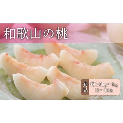 ふるさと納税 もも 和歌山県 串本町 和歌山の桃 秀品 約3.8〜4kg (サイズ・品種おまかせ) 2026年6月中旬〜2026年8月中旬頃に順次発送予定 紀伊国屋文左衛門本…