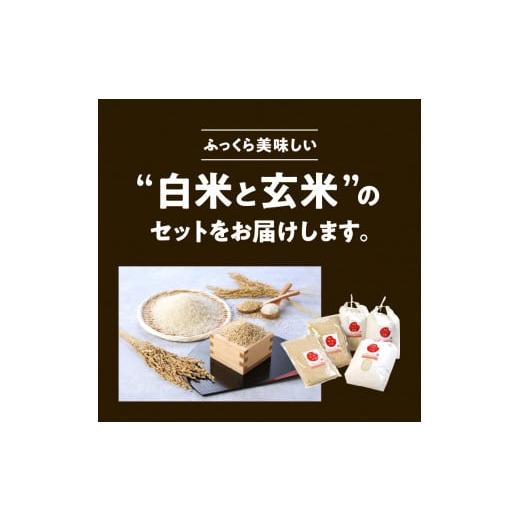 ふるさと納税 米 ヒノヒカリ 宮崎県 延岡市 宮崎ヒノヒカリ延岡産白米と白い玄米セット合計16.6kg N0149-YE115_2