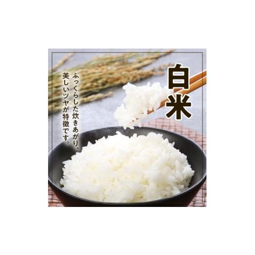 ふるさと納税 米 ヒノヒカリ 宮崎県 延岡市 宮崎ヒノヒカリ延岡産白米と白い玄米セット合計16.6kg N0149-YE115_3