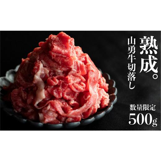 ふるさと納税 牛肉 岐阜県 飛騨市 訳あり 飛騨牛 こま切れ 小間切れ 500g 飛騨の牧場で育った熟成飛騨牛『山勇牛』 切落し 500g 不揃い