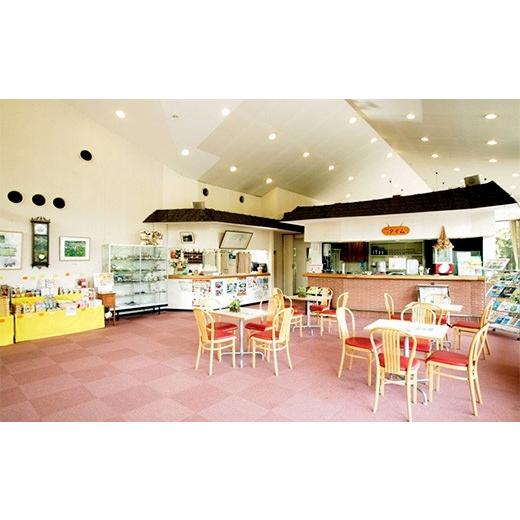 ふるさと納税 千葉県 君津市 ロマンの森共和国 ホテルシルクヴィラ・コテージ 1泊2食付き 4名 宿泊券 その他サービス