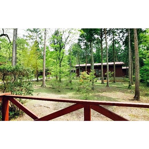 ふるさと納税 千葉県 君津市 ロマンの森共和国 ホテルシルクヴィラ・コテージ 1泊2食付き 4名 宿泊券 その他サービス