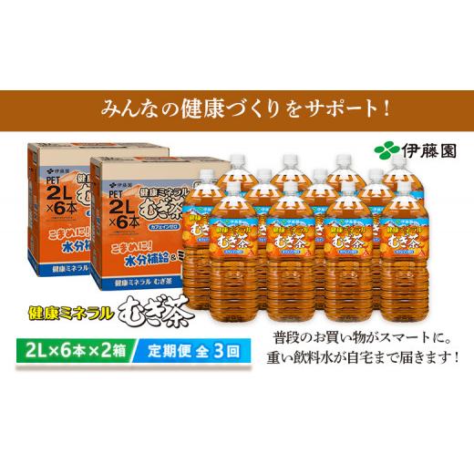 ふるさと納税 お茶類 北海道 恵庭市 『定期便：全3回』健康ミネラル麦茶2L×6本×2箱 500005_6