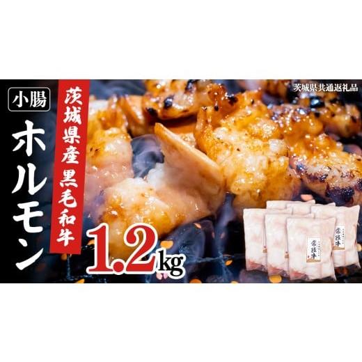 ふるさと納税 牛肉 ホルモン 茨城県 牛久市 茨城県産 黒毛和牛 もつ鍋 焼肉用 小腸 1.2kg(200g×6パック) (茨城県共通返礼品) 国産 牛肉 肉 お肉 ホルモン …