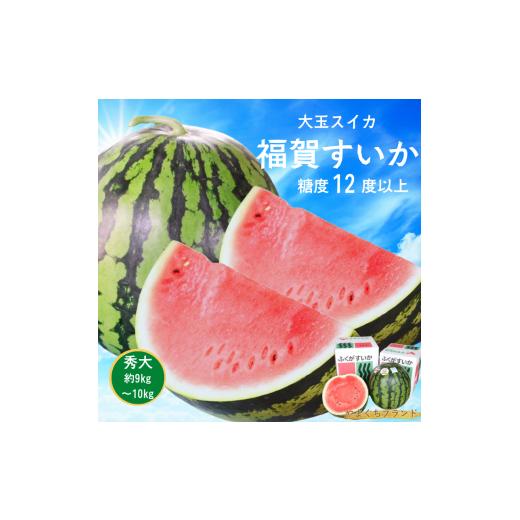 ふるさと納税 スイカ 山口県 阿武町 先行予約 福賀 すいか 秀大 約9〜10kg 圧巻の大玉&シャリシャリ食感 高糖度 山口県 阿武町産 1個(希少1株1玉栽培) 産…