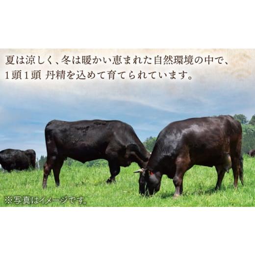 ふるさと納税 牛肉 ロース 長崎県 佐々町  全12回定期便 長崎和牛 ロースステーキ 総計4.8kg（約400g／回） ながさき西海農業協同組合 QAK039 牛肉 ロース 焼…_4