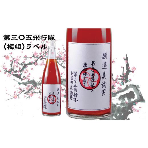 ふるさと納税 お酒 宮崎県 新富町 座論梅 梅酒 720ml 1本 飛行隊ラベル B574-02 飛行隊ラベル 座論梅 梅酒 720ml 1本