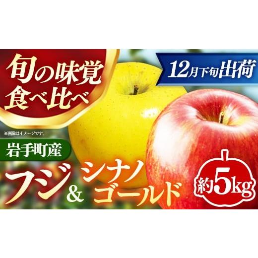ふるさと納税 りんご 岩手県 岩手町 12月下旬より順次発送 先行受付 フジ&シナノゴールド約5kg 令和7年産 りんご リンゴ フジ シナノゴールド フルーツ 果物…