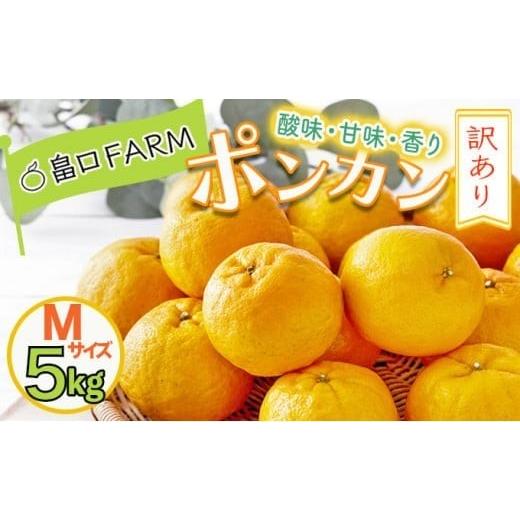 ふるさと納税 みかん・柑橘類 高知県 東洋町 訳ありポンカン 5kg Mサイズ Mサイズ 5kg