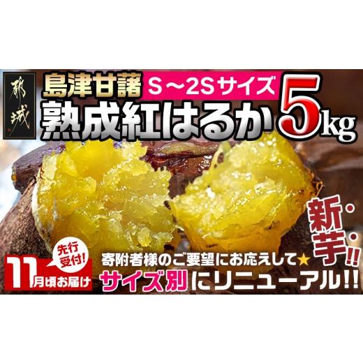 ふるさと納税 野菜類 サツマイモ 宮崎県 都城市 先行受付 11月お届け 島津甘藷 熟成紅はるか 5kg(S〜2S)_LE-A7-001-5kg-m-11_(都城市) 島津甘藷 紅はるか サ…
