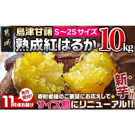 ふるさと納税 野菜類 サツマイモ 宮崎県 都城市 先行受付 11月お届け 島津甘藷 熟成紅はるか 10kg(S〜2S)_12-A7-001-10kg-m-11(都城市) 島津甘藷 紅はるか サ…