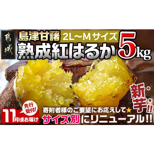 ふるさと納税 野菜類 サツマイモ 宮崎県 都城市 先行受付 11月お届け 島津甘藷 熟成紅はるか 5kg(2L〜M)_LE-A7-001-5kg-11_(都城市) 島津甘藷 紅はるか サツ…