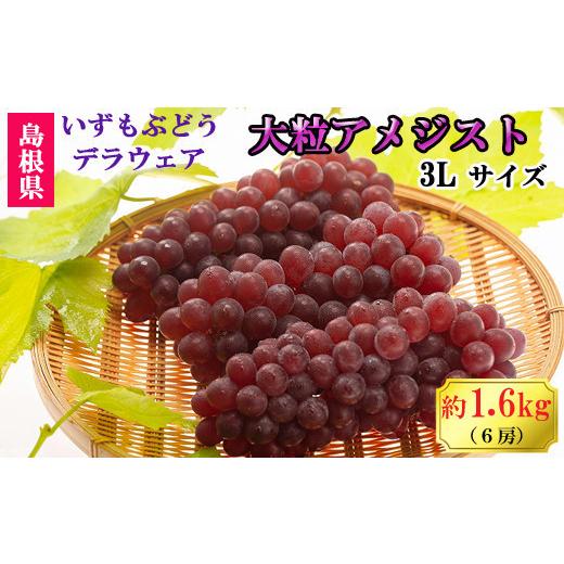 ふるさと納税 果物類 ぶどう 島根県 出雲市 2026年6月以降発送 いずもぶどう デラウエア(出雲の大粒アメジスト)3Lサイズ 6房 1.6kg相当 美味しい 果物 フ…