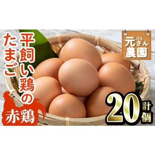 ふるさと納税 大分県 佐伯市 元さん農園 平飼い赤鶏のたまご (計20個・10個×2P) 元さん農園[GE001][ (株)海九]