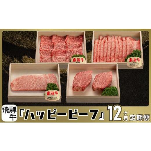 ふるさと納税 牛肉 セット 岐阜県 高山市 ハッピービーフ 定期便 飛騨牛 ブランド牛 フィレステーキ Ａ5ランク ハッピープラス | 飛騨牛 定期便 肉 ステーキ …_1