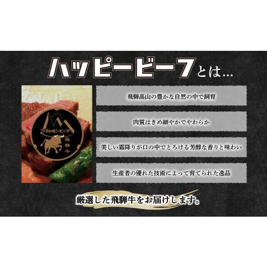 ふるさと納税 牛肉 セット 岐阜県 高山市 ハッピービーフ 定期便 飛騨牛 ブランド牛 フィレステーキ Ａ5ランク ハッピープラス | 飛騨牛 定期便 肉 ステーキ …_3