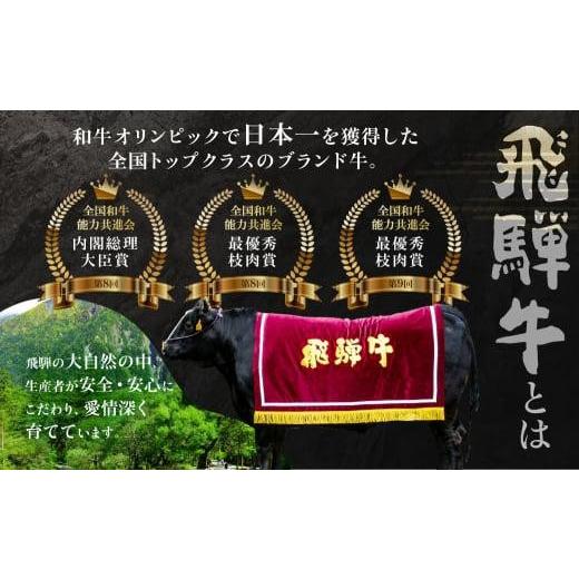 ふるさと納税 牛肉 セット 岐阜県 高山市 ハッピービーフ 定期便 飛騨牛 ブランド牛 フィレステーキ Ａ5ランク ハッピープラス | 飛騨牛 定期便 肉 ステーキ …_4