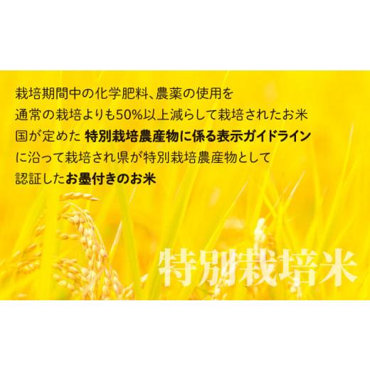 70 ふるさと納税 福井県 大野市 【令和5年産】こしひかり 10kg【玄米】減農薬・減化学肥料 「特別栽培米」