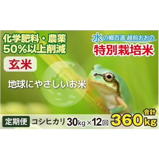 ふるさと納税 米 コシヒカリ 福井県 大野市 令和7年産 12ヶ月定期便 こしひかり 30kg × 12回 計 360kg 玄米 減農薬・減化学肥料 「特別栽培米」−地球にやさ…