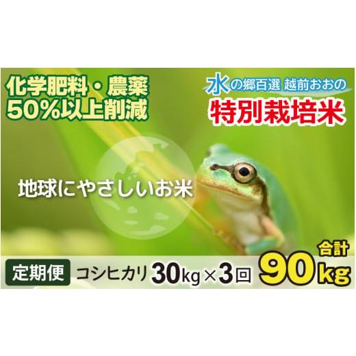 ふるさと納税 米 コシヒカリ 福井県 大野市 令和7年産 3ヶ月定期便 こしひかり 30kg × 3回 計 90kg 白米 減農薬・減化学肥料 「特別栽培米」−地球にやさし…
