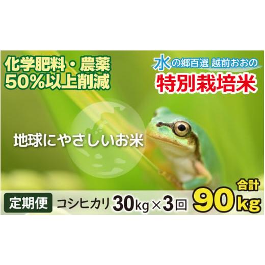 ふるさと納税 福井県 大野市 [令和5年産][3ヶ月定期便]こしひかり 30kg × 3回 計 90kg[白米]