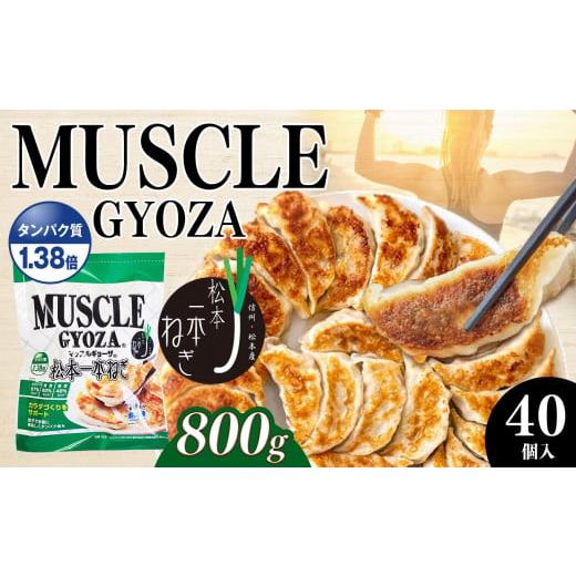 ふるさと納税 長野県 松本市 MUSCLE GYOZA 〜マッスルギョーザ〜 松本一本ねぎ(40個入り)