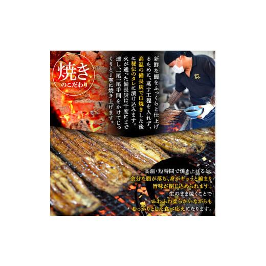 ふるさと納税 鹿児島県 鹿屋市 518-3 【数量限定】鹿児島県大隅産　備長炭手焼　黒匠うなぎの蒲焼　５尾　計600g【国産】 ふるさと納税 【数量限定】鹿児島県大隅産　備長炭手焼　黒匠うなぎの蒲焼　５尾　計600g【国産】 Z1259019046(12500円)