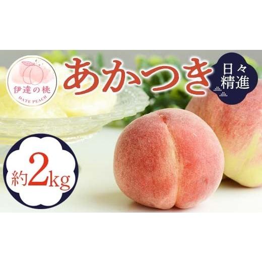 ふるさと納税 もも 福島県 伊達市 2026年出荷分先行予約 福島県産 あかつき 約2kg (5〜9玉) 酒井 幸吉 伊達の桃 桃 フルーツ 果物 もも モモ momo F20C-608