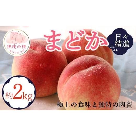 ふるさと納税 もも 福島県 伊達市 2026年出荷分先行予約 福島県産 まどか 約2kg (5〜9玉) 酒井 幸吉 大玉 固め 伊達の桃 桃 フルーツ 果物 もも モモ momo F2…