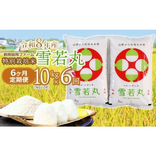 ふるさと納税 米 山形県 鶴岡市 令和8年産先行予約 特別栽培米雪若丸精米 10kg (5kg×2袋) ×6ヶ月 定期便 山形県鶴岡産 鶴岡協同ファーム
