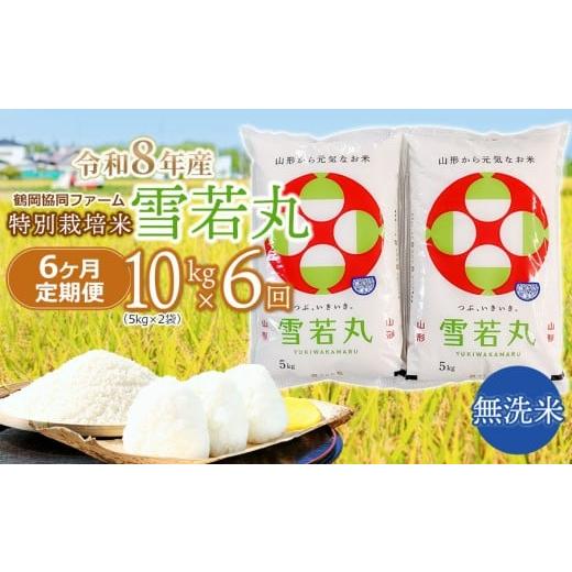 ふるさと納税 無洗米 山形県 鶴岡市 令和8年産先行予約 特別栽培米雪若丸 無洗米 10kg (5kg×2袋) ×6ヶ月 定期便 山形県鶴岡産 鶴岡協同ファーム