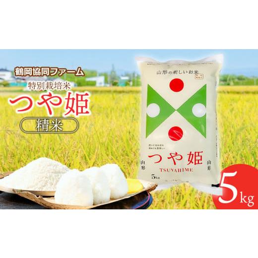 ふるさと納税 米 つや姫 山形県 鶴岡市 令和7年産 新米 特別栽培米つや姫 5kg (5kg×1袋) 山形県鶴岡産 鶴岡協同ファーム
