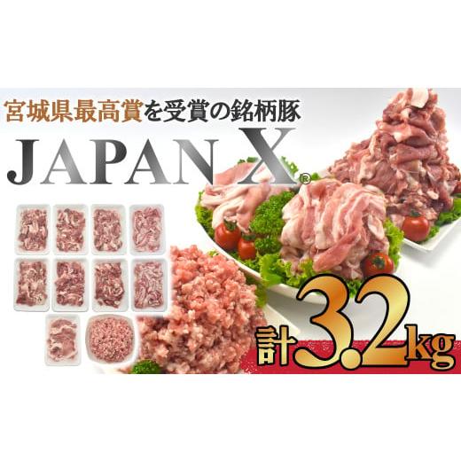 ふるさと納税 宮城県 蔵王町 [蔵王町産]JAPAN X 豚肉バラエティセット 3.2kg [04301-0366]