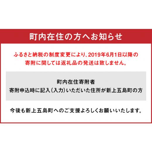 ふるさと納税 長崎県 新上五島町 【ご家庭で本格飛魚ダシ醤油】飛魚醤油の素＆焼きあご セット 【新上五島町観光物産協会】 [RBO002]｜furusatochoice｜10