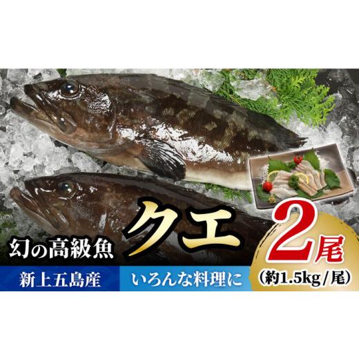 ふるさと納税 旬の鮮魚等 長崎県 新上五島町  幻の超高級魚をご家庭で 養殖 クエ まるごと 1.5kg×2尾 くえ クエ クエ鍋 鍋 鍋セット 高級魚 魚 希少 冷蔵 海…の画像