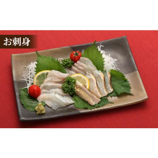 ふるさと納税 旬の鮮魚等 長崎県 新上五島町  幻の超高級魚をご家庭で 養殖 クエ まるごと 1.5kg×2尾 くえ クエ クエ鍋 鍋 鍋セット 高級魚 魚 希少 冷蔵 海…の画像