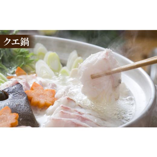 ふるさと納税 旬の鮮魚等 長崎県 新上五島町  幻の超高級魚をご家庭で 養殖 クエ まるごと 1.5kg×2尾 くえ クエ クエ鍋 鍋 鍋セット 高級魚 魚 希少 冷蔵 海…の画像
