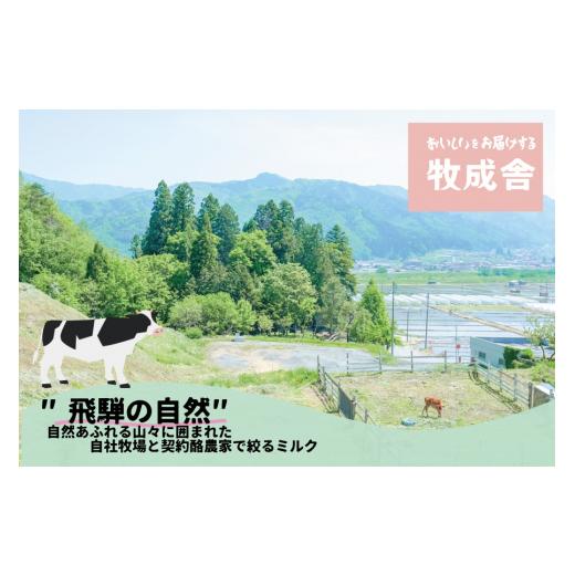 ふるさと納税 岐阜県 高山市 砂糖不使用 プレーンヨーグルト 20個 飛騨の牛乳屋 牧成舎 生乳100％ 朝食におすすめ　無糖ヨーグルト プレーンヨーグルト 砂糖不…｜furusatochoice｜06