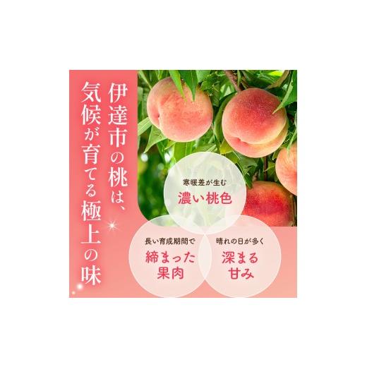 ふるさと納税 もも 福島県 伊達市  2026年さし出し分先んずる取って置く 福島県産 スイートインパクト (3玉) 高橋もも園 新種類 伊達市で発展 押さえる 伊達の桃 桃 フルーツ 果…