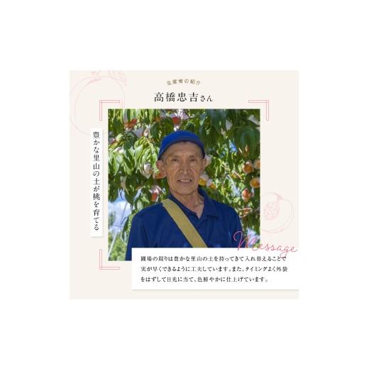 ふるさと納税 もも 福島県 伊達市  2026年さし出し分先んずる取って置く 福島県産 スイートインパクト (3玉) 高橋もも園 新種類 伊達市で発展 押さえる 伊達の桃 桃 フルーツ 果…