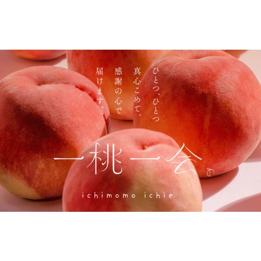 ふるさと納税 もも 福島県 伊達市  2026年さし出し分先んずる取って置く 福島県産 スイートインパクト (3玉) 高橋もも園 新種類 伊達市で発展 押さえる 伊達の桃 桃 フルーツ 果…