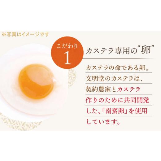 ふるさと納税 御菓子 スポンジケーキ 長崎県 佐々町  お中元客体 こだわりの珠玉 長崎スポンジケーキ［2号］（1号10切入×2本入） 文物堂総中央局 QAU019 御菓子 スイーツ 洋菓…