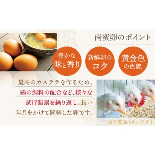 ふるさと納税 御菓子 スポンジケーキ 長崎県 佐々町  お中元客体 こだわりの珠玉 長崎スポンジケーキ［2号］（1号10切入×2本入） 文物堂総中央局 QAU019 御菓子 スイーツ 洋菓…
