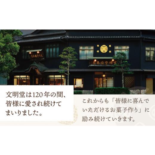 ふるさと納税 御菓子 スポンジケーキ 長崎県 佐々町  お中元客体 こだわりの珠玉 長崎スポンジケーキ［2号］（1号10切入×2本入） 文物堂総中央局 QAU019 御菓子 スイーツ 洋菓…