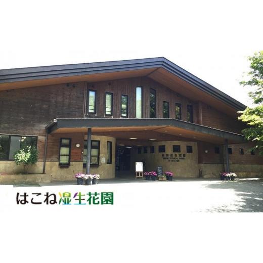 ふるさと納税 神奈川県 箱根町 【定期便3回コース】箱根ルルルン〜やさしいバラの香り〜フェイスマスク全56枚（2箱セット）全3回 