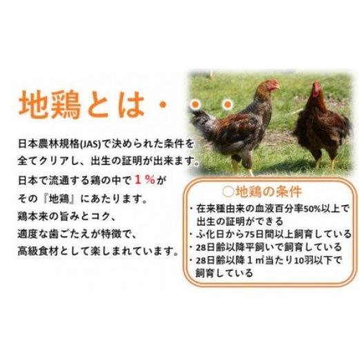 ふるさと納税 宮崎県 西都市 地鶏 焼鳥セット 小分け10パック 合計30本【妻地鶏】＜1-244＞｜furusatochoice｜06