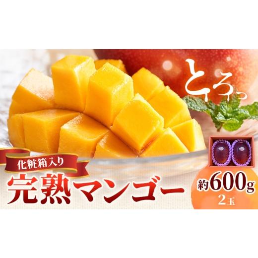 ふるさと納税 マンゴー 鹿児島県 さつま町 鹿児島県産 完熟マンゴー 化粧箱入り 約600g 祝迫果樹園[6月中旬-7月中旬頃出荷]鹿児島県 さつま町 マンゴー 果実…