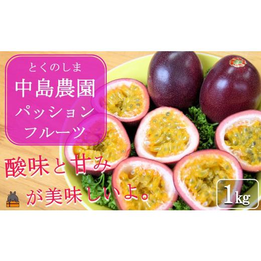ふるさと納税 果物類 鹿児島県 徳之島町 1776[今が旬 ]とくのしま中島農園さんのパッションフルーツ(1kg) ( パッションフルーツ 果物 フルーツ 旬 トロピ…