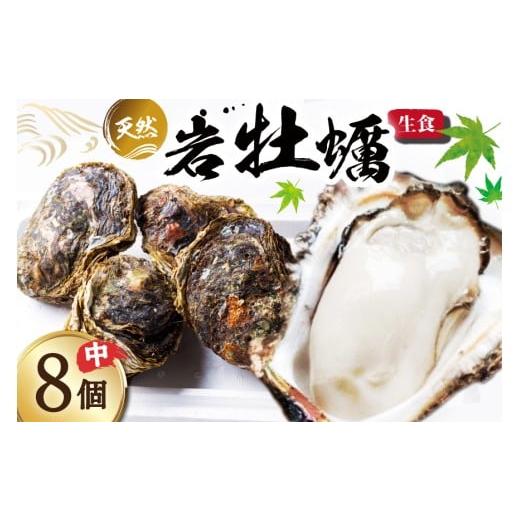 ふるさと納税 牡蠣 生牡蠣 石川県 志賀町 期間限定発送 ヨコタ礁 天然 岩牡蠣 生食用 中 8個 望海 石川県 志賀町 BX4016 岩牡蠣 岩ガキ 岩がき 牡蠣 カキ 期…